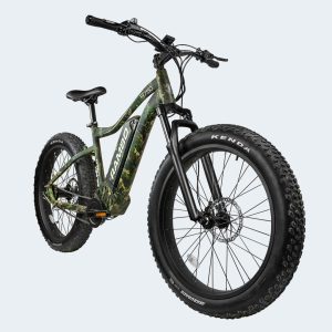 THE ROAMER At Re-Volt PowerSports